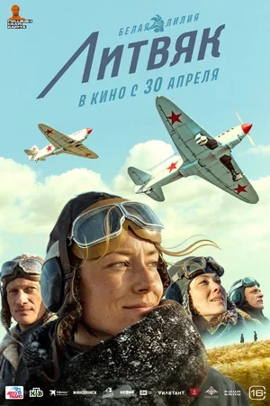 Сведения об участниках