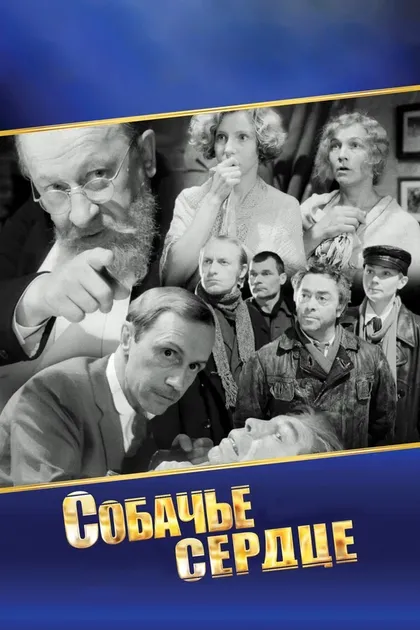 Борис Соколов